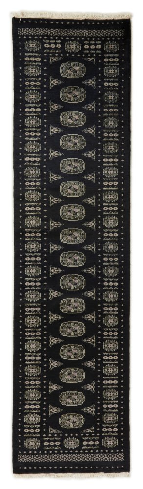 Pakistani rug Pakistan Buchara 2ply 295x75 295x75, Persian rug Hand-knotted