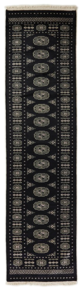 Pakistani rug Pakistan Buchara 2ply 9'9"x2'6" 9'9"x2'6", Persian rug Hand-knotted