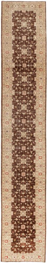 Pakistani rug Ziegler Farahan 494x81 494x81, Persian Rug Knotted by hand