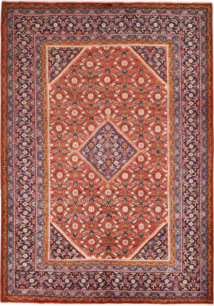 Persian Rug Hamadan 9'11"x6'11" 9'11"x6'11", Persian Rug Knotted by hand