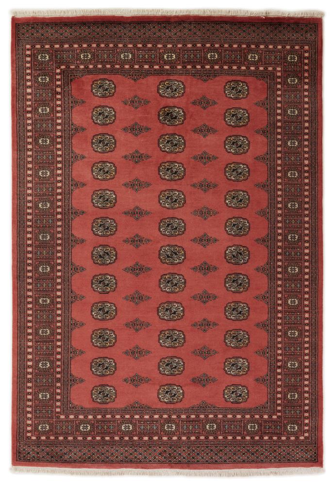 Tappeto pakistano Pakistan Buchara 2ply 246x171 246x171, Tappeto persiano Annodato a mano