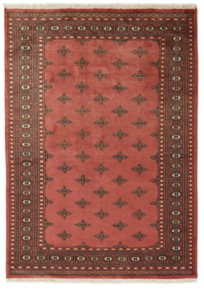 Pakistański dywan Pakistański Buchara 2ply 236x168 236x168, Dywan perski Ręcznie tkany