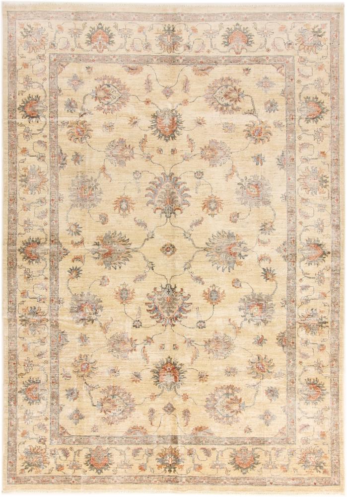 Pakistani rug Ziegler Farahan 9'9"x6'10" 9'9"x6'10", Persian Rug Knotted by hand