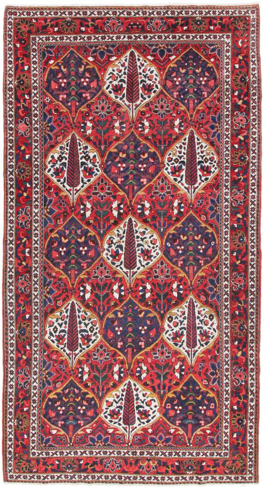 Persian Rug Bakhtiari 10'3"x5'5" 10'3"x5'5", Persian Rug Knotted by hand