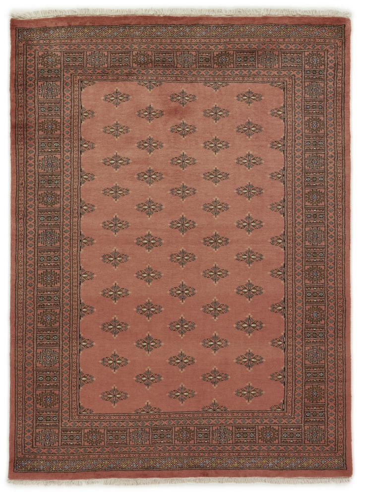 Tappeto pakistano Pakistan Buchara 3ply 246x178 246x178, Tappeto persiano Annodato a mano