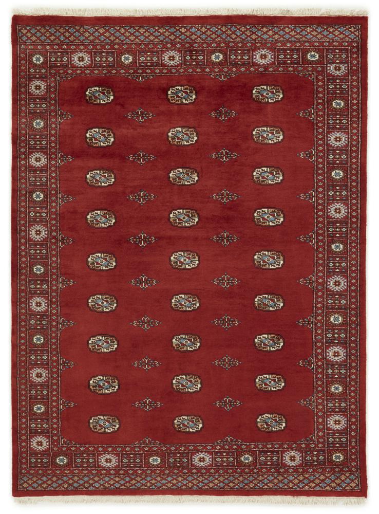 Tappeto pakistano Pakistan Buchara 3ply 233x171 233x171, Tappeto persiano Annodato a mano