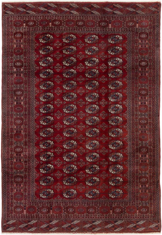 Tappeto Afgano Turkaman 266x186 266x186, Tappeto persiano Annodato a mano