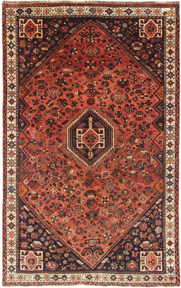 Tapete persa Shiraz 254x155 254x155, Tapete persa Atado à mão