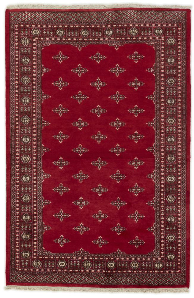 Tappeto pakistano Pakistan Buchara 2ply 259x171 259x171, Tappeto persiano Annodato a mano