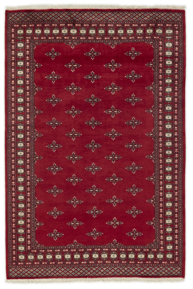 Tapis pakistanais Pakistan Buchara 2ply 256x170 256x170, Tapis persan Noué à la main