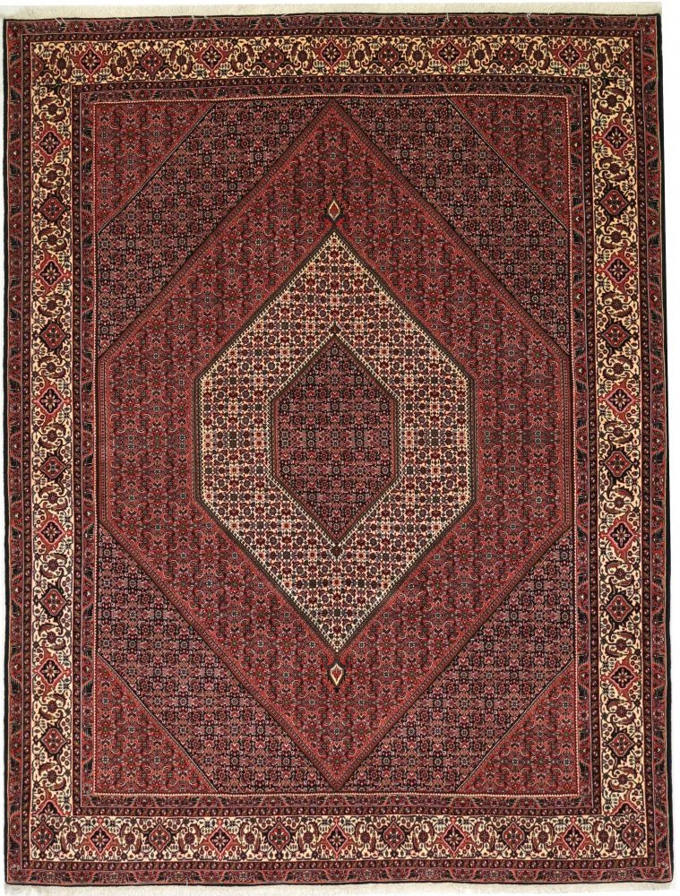 Perzsa szőnyeg Bidjar Tekab 11'1"x8'6" 11'1"x8'6", Perzsa szőnyeg Kézzel csomózva