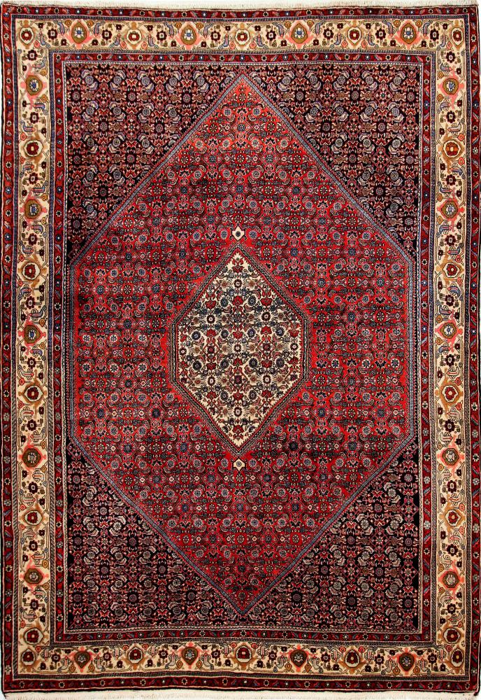 Persian Rug Bidjar 306x211 306x211, Persian Rug Knotted by hand