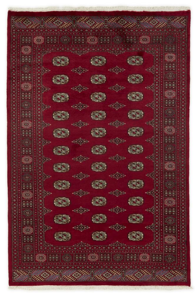 Tapis pakistanais Pakistan Buchara 2ply 254x168 254x168, Tapis persan Noué à la main