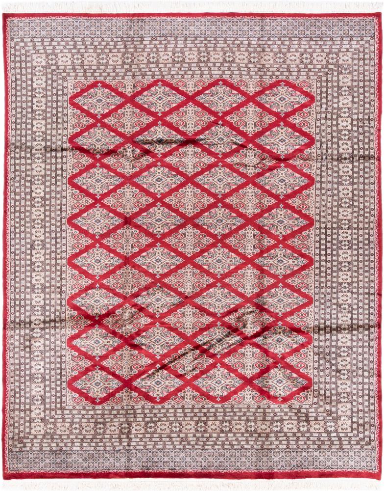 Tapis pakistanais Pakistan 253x307 253x307, Tapis persan Noué à la main