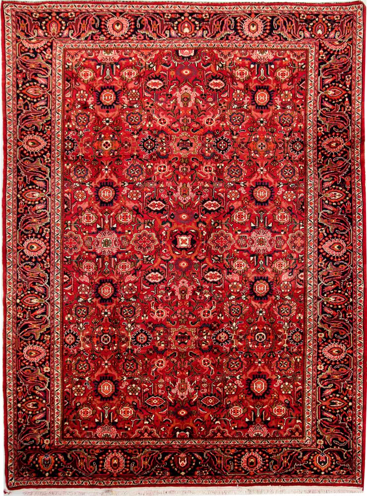 Persian Rug Nanadj 337x256 337x256, Persian Rug Knotted by hand