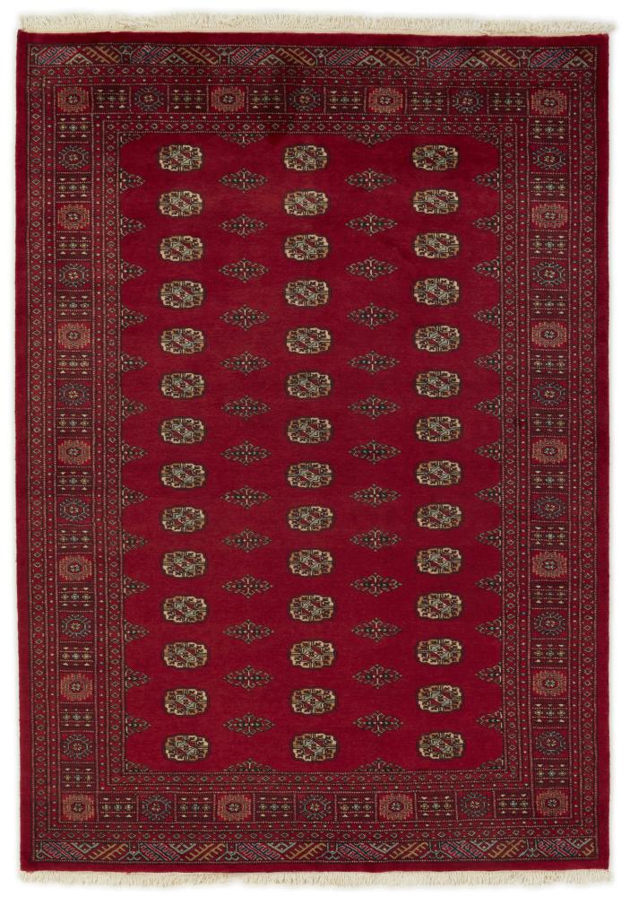 Tapis pakistanais Pakistan Buchara 2ply 244x173 244x173, Tapis persan Noué à la main