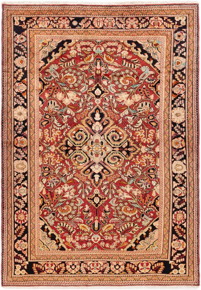 Tapis persan Hamadan 316x220 316x220, Tapis persan Noué à la main