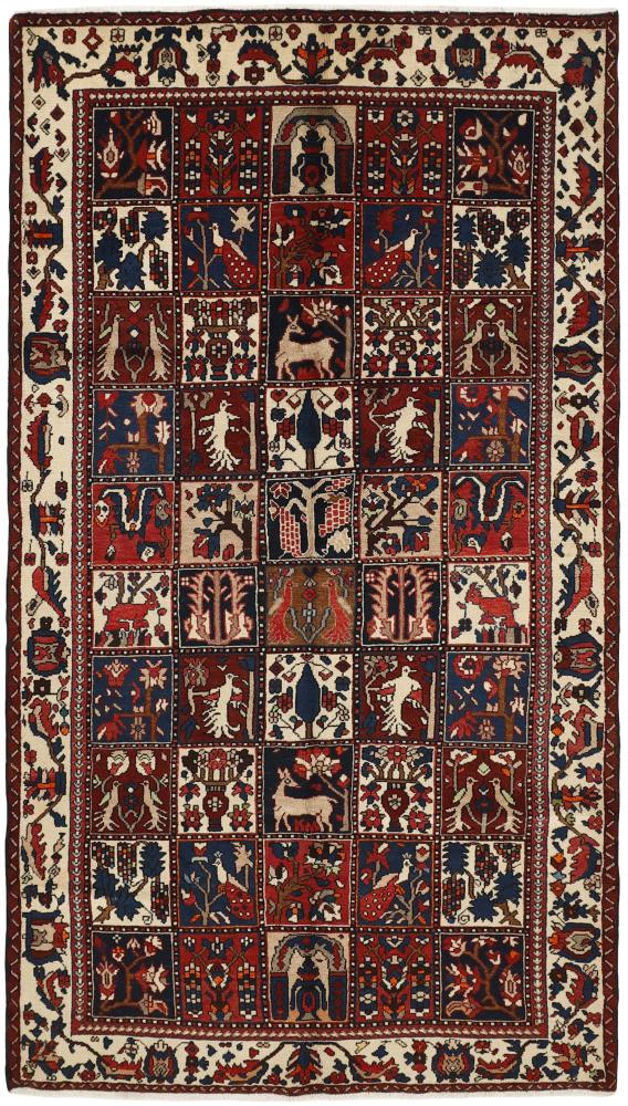 Tappeto persiano Bakhtiar 293x163 293x163, Tappeto persiano Annodato a mano