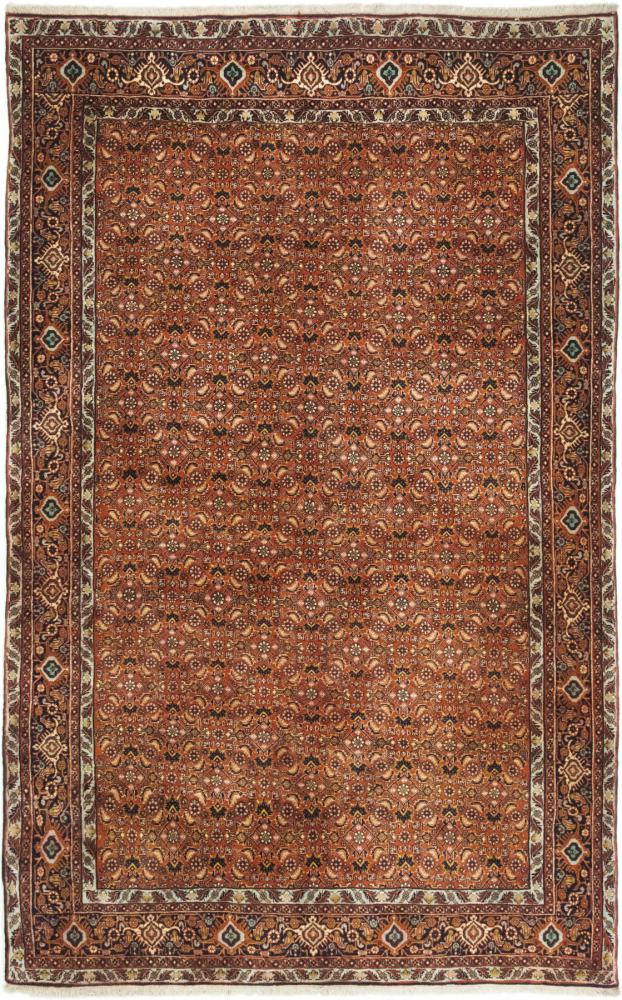 Perzsa szőnyeg Bidjar 266x156 266x156, Perzsa szőnyeg Kézzel csomózva