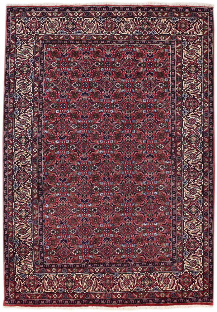 Persisk tæppe Zanjan 218x143 218x143, Persisk tæppe Knyttet i hånden