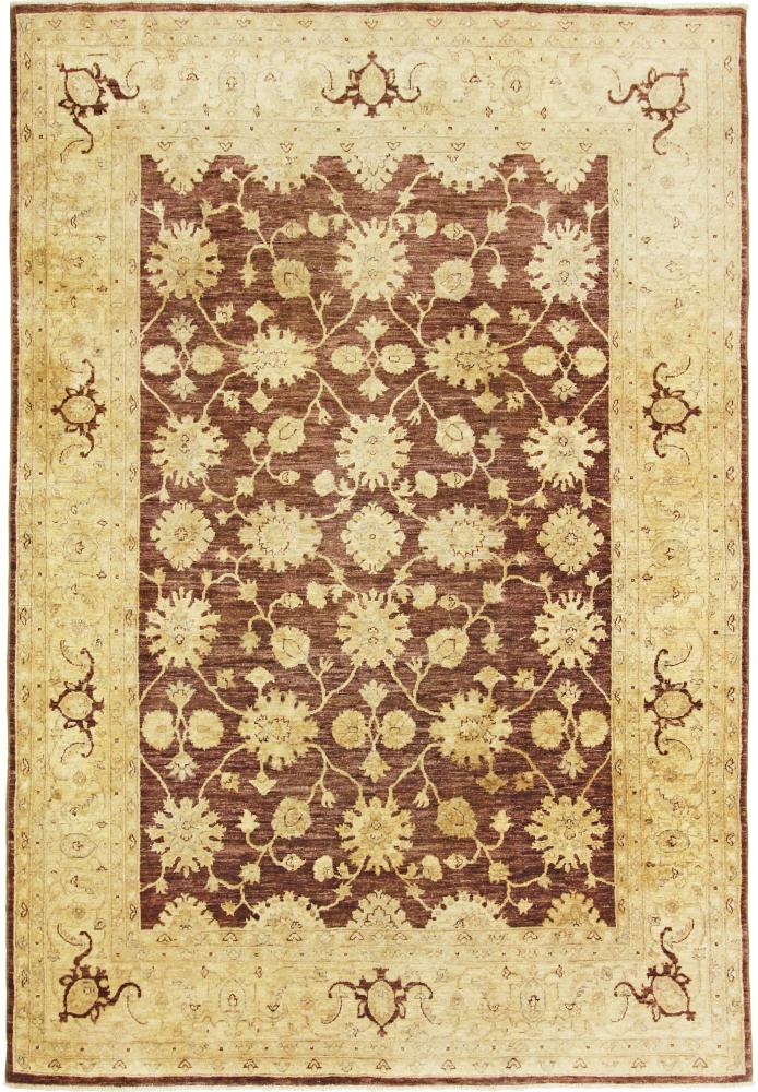 Pakistani rug Ziegler Farahan 9'9"x6'8" 9'9"x6'8", Persian Rug Knotted by hand