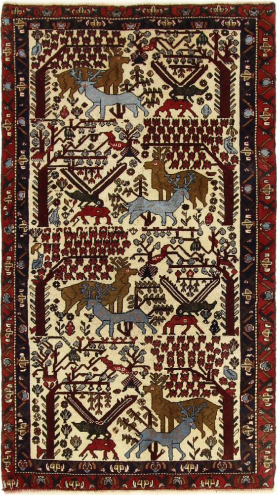 Persisk matta Sirjan 175x99 175x99, Persisk matta Knuten för hand