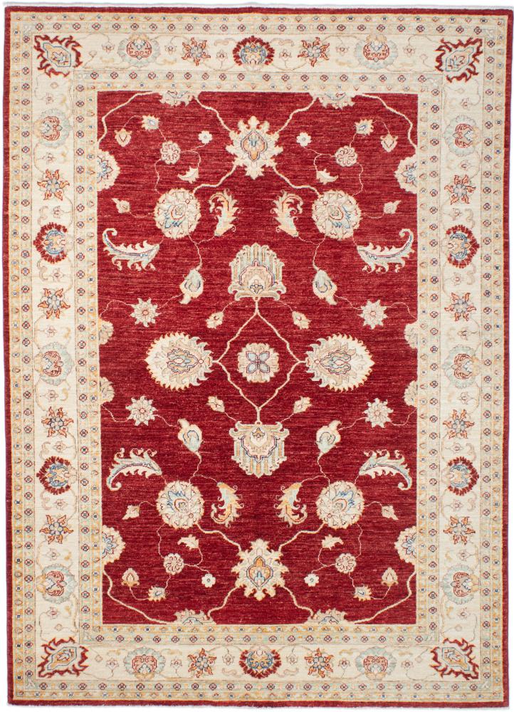 Pakistani rug Ziegler Farahan Arijana 236x168 236x168, Persian Rug Knotted by hand