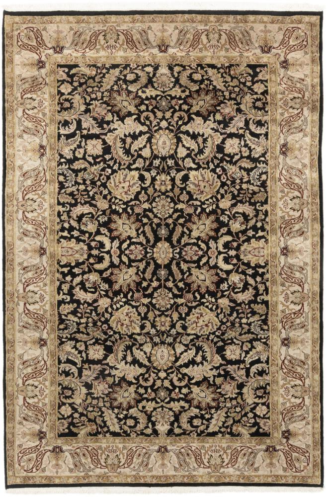 Indisk matta Indo Keshan 270x178 270x178, Persisk matta Knuten för hand