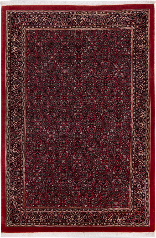 Tappeto persiano Bidjar 171x115 171x115, Tappeto persiano Annodato a mano