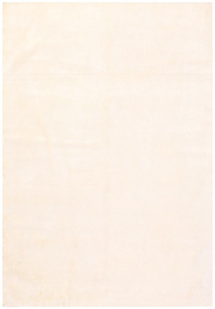 Indo rug Shining Essence 241x169 241x169, Persian Rug Knotted by hand