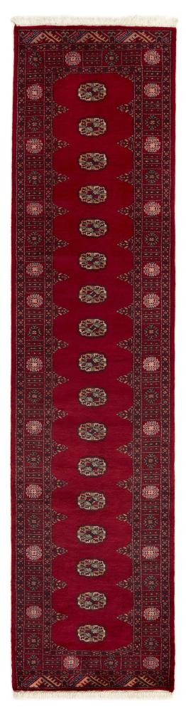 Tappeto pakistano Pakistan Buchara 3ply 314x76 314x76, Tappeto persiano Annodato a mano