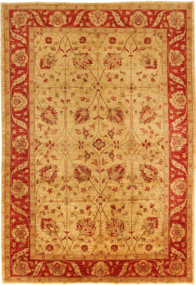 Pakistani rug Ziegler Farahan 9'8"x6'8" 9'8"x6'8", Persian Rug Knotted by hand