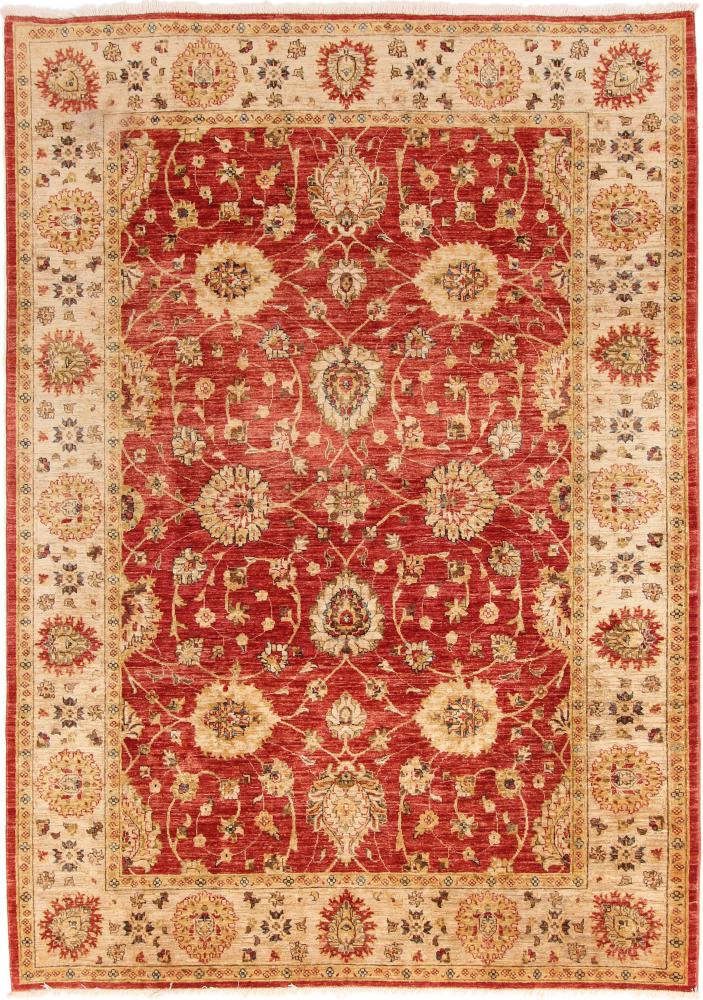 Pakistani rug Ziegler Farahan 9'2"x6'6" 9'2"x6'6", Persian Rug Knotted by hand