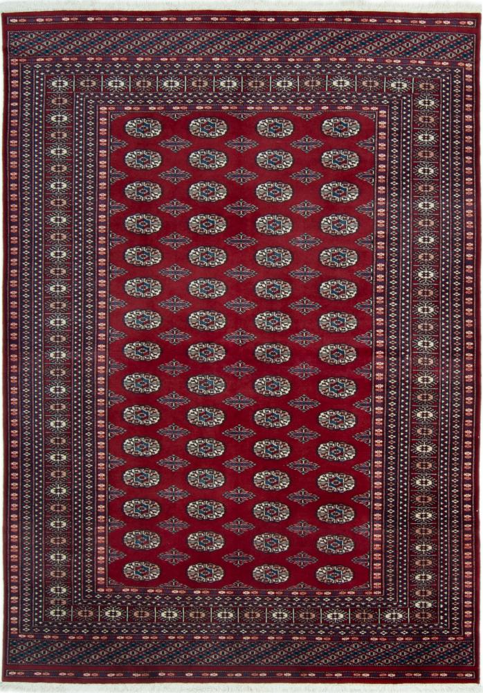 Pakistanilainen matto Pakistan Buchara 239x171 239x171, Persialainen matto Solmittu käsin