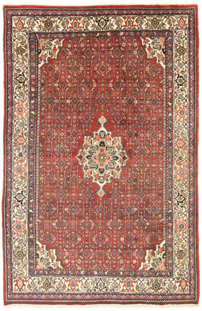 Persian Rug Bidjar 10'4"x6'10" 10'4"x6'10", Persian Rug Knotted by hand
