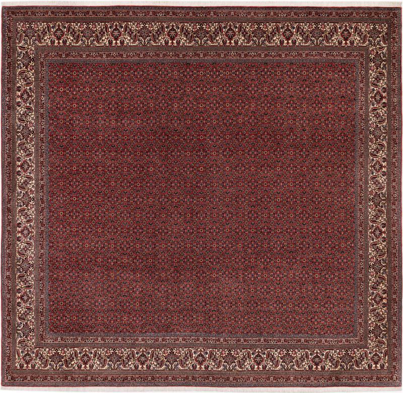 Persian rug Bidjar 292x305 292x305, Persian rug Hand-knotted