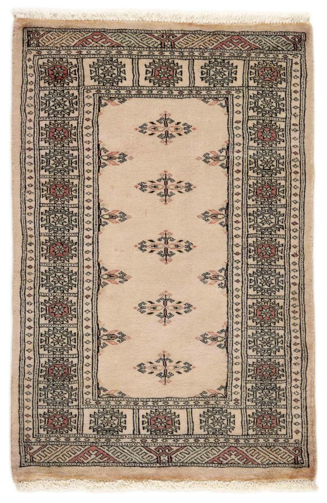 Pakisztáni szőnyeg Pakisztáni  Buchara 3ply 3'11"x2'7" 3'11"x2'7", Perzsa szőnyeg Kézzel csomózva