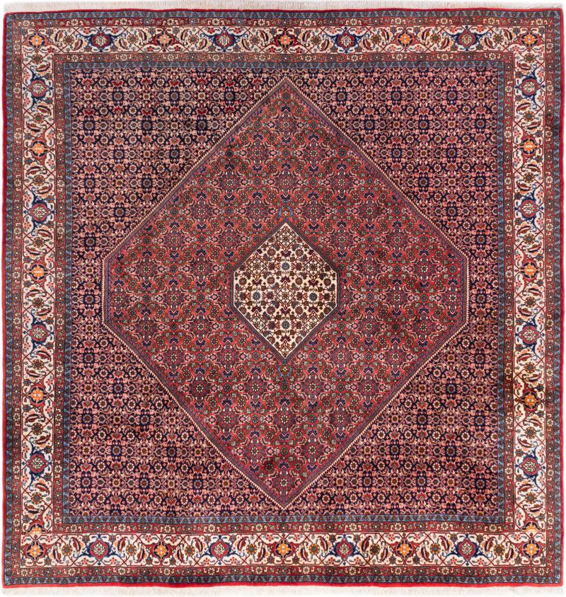 Alfombra persa Bidjar 259x246 259x246, Alfombra persa Hecho a mano