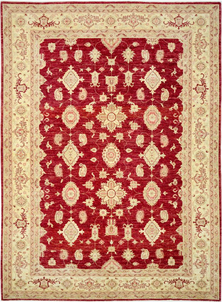 Afghan rug Ziegler Farahan 9'7"x6'11" 9'7"x6'11", Persian Rug Knotted by hand