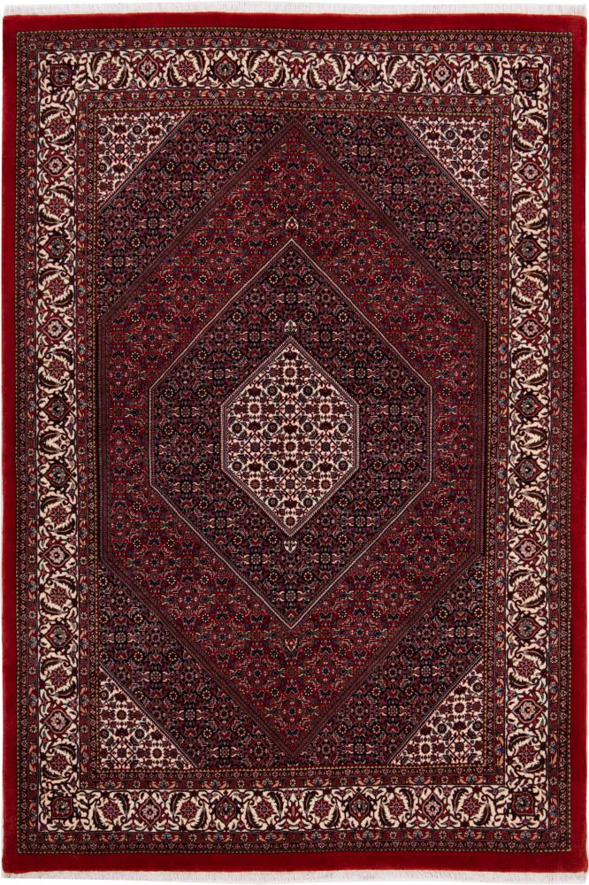 Persian Rug Bidjar 251x170 251x170, Persian Rug Knotted by hand