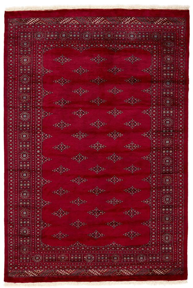 Tappeto pakistano Pakistan Buchara 3ply 256x175 256x175, Tappeto persiano Annodato a mano