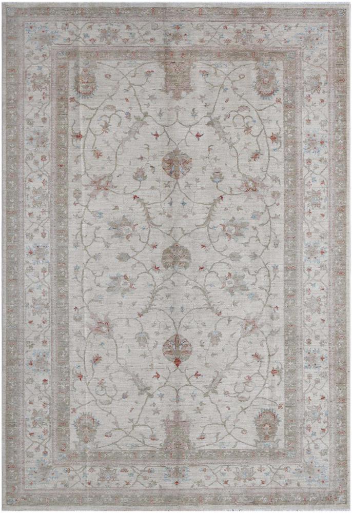 Pakistani rug Ziegler Farahan 9'9"x6'7" 9'9"x6'7", Persian Rug Knotted by hand