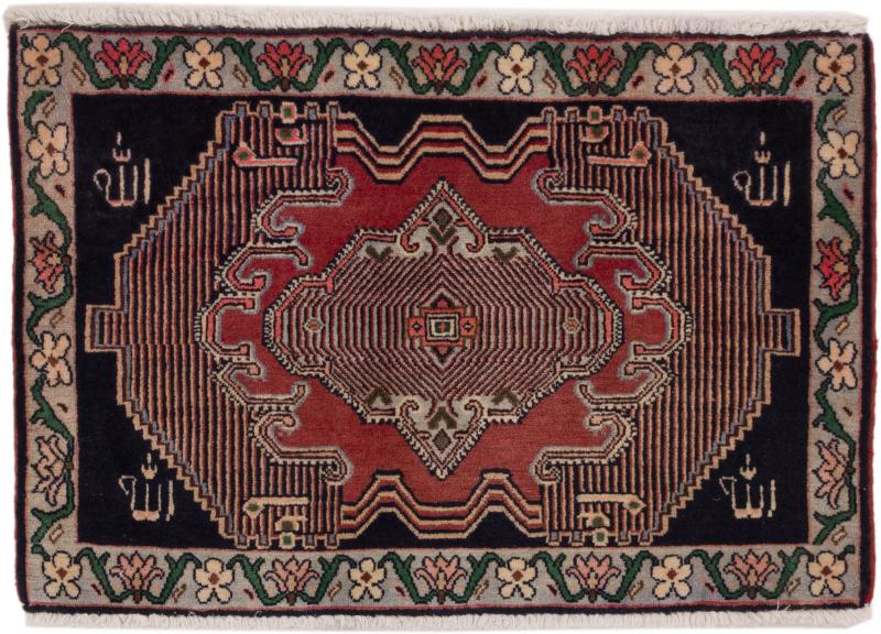 Persian Rug Hamadan 54x81 54x81, Persian Rug Knotted by hand