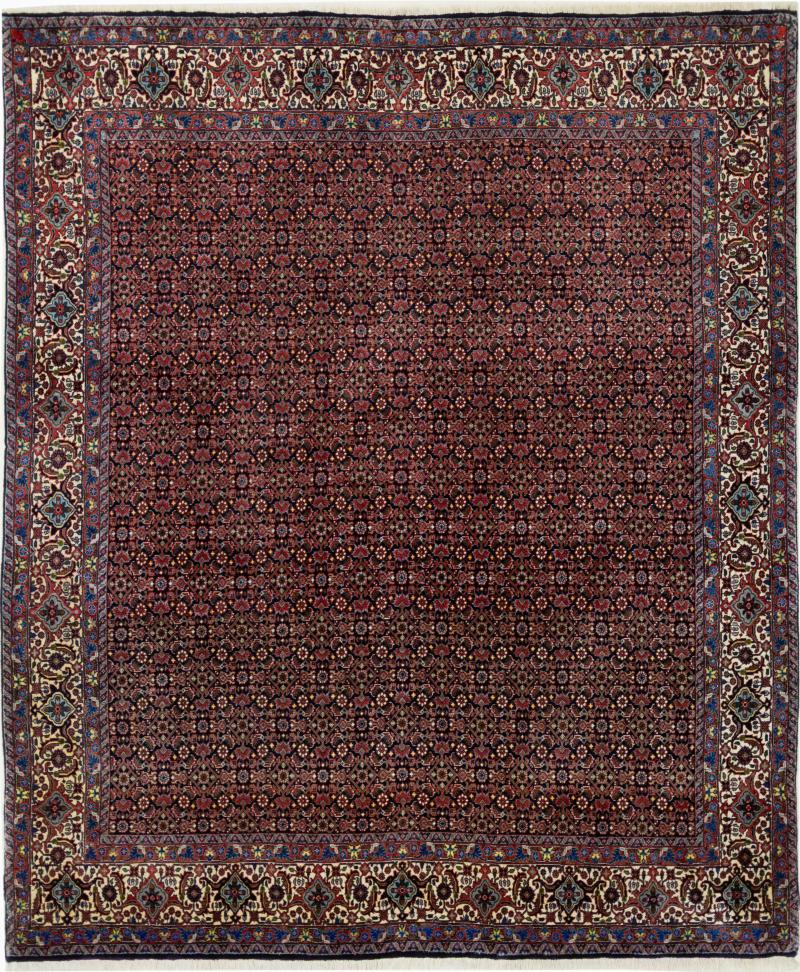 Perzisch tapijt Bidjar 244x204 244x204, Perzisch tapijt Handgeknoopte