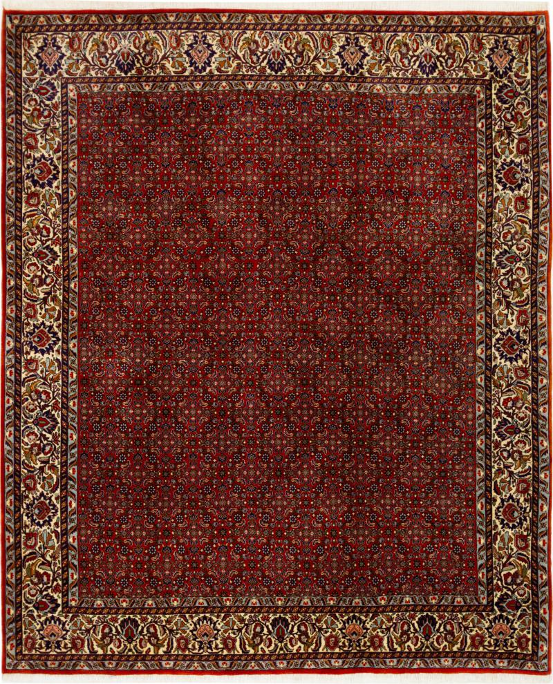 Persian Rug Bidjar 8'1"x6'9" 8'1"x6'9", Persian Rug Knotted by hand