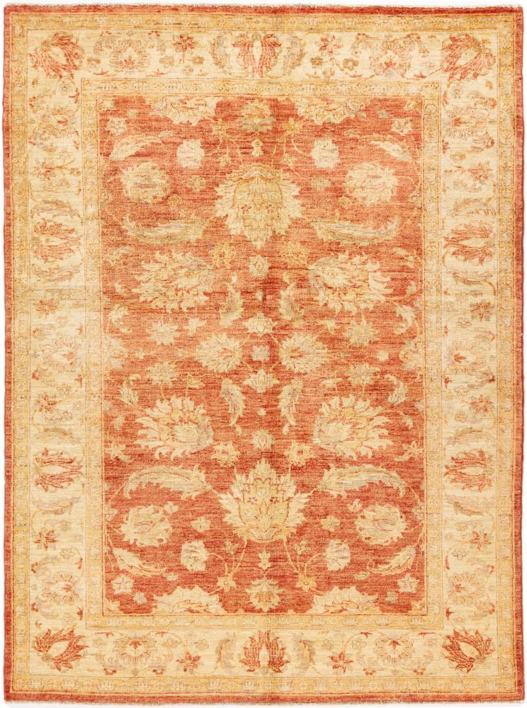 Dywan afgański Ziegler Farahan 208x153 208x153, Dywan perski Ręcznie tkane