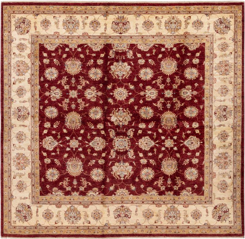 Pakistansk teppe Ziegler Farahan 249x239 249x239, Persisk teppe Knyttet for hånd