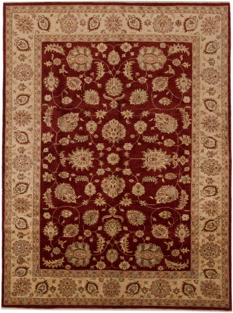 Afghan rug Ziegler Farahan 9'3"x7'0" 9'3"x7'0", Persian Rug Knotted by hand