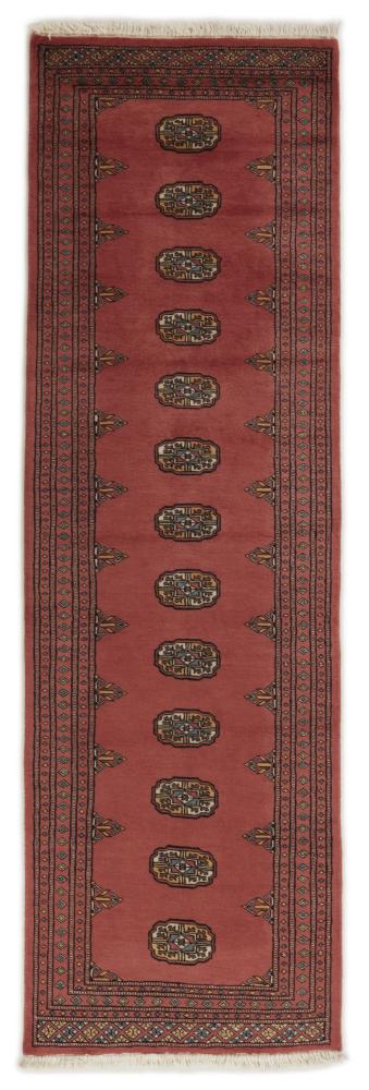 Alfombra pakistaní Pakistan Buchara 2ply 256x78 256x78, Alfombra persa Anudado a mano