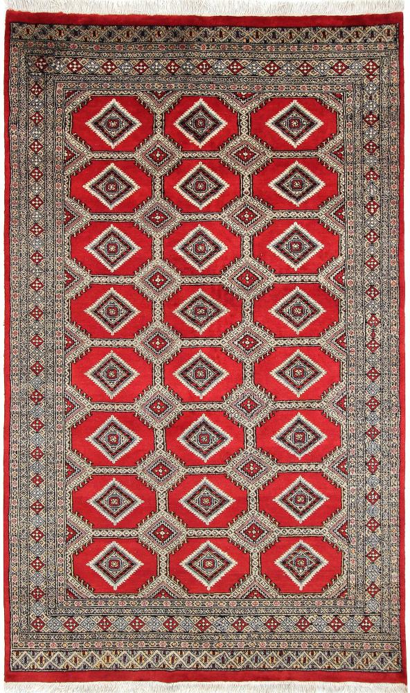 Tappeto pakistano Pakistan Buchara 3ply 256x156 256x156, Tappeto persiano Annodato a mano